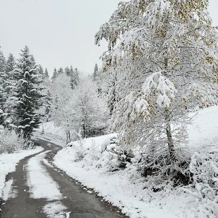 Zasiedmiogorek - Domek W Beskidach Milówka Exteriér fotografie